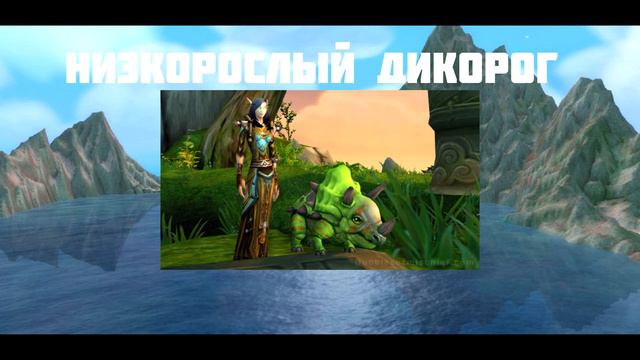 Самые редкие предметы в World of Warcraft!