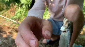 ЛОВЛЯ КАРАСЯ НА ПРУЖИНУ И НА УДОЧКУ | РЫБАЛКА НА ПОПЛАВОК