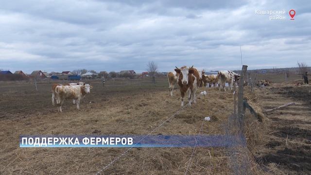 Для помощи фермерам готовят новую грантовую программу