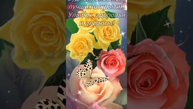 Музыкальная живая открытка - поздравление с днём рождения