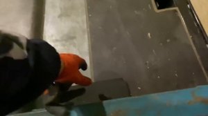 РАДОСТЬ ДАЛЬНОБОЙЩИКА! УСТАНОВИЛИ АВТОНОМКУ В МЕРСЕДЕС АКТРОС , ПОЛУЧИЛ НОВЫЕ ПИРАМИДЫ