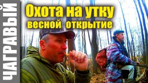 Охота на утку весной - ОТКРЫТИЕ | #продутьманки. Spring hunt for a duck, I blow a decoy.