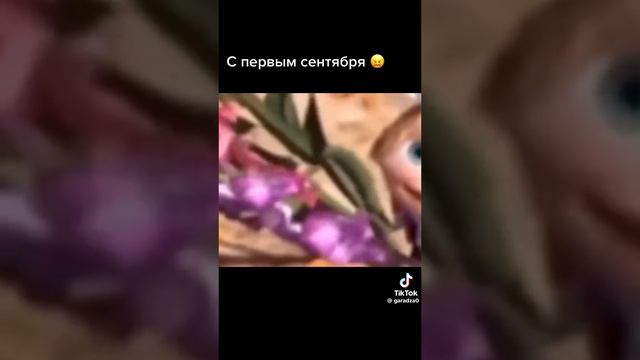 с первым сентября