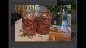 Как приготовить домашний "корневин" из картофельных проростков?