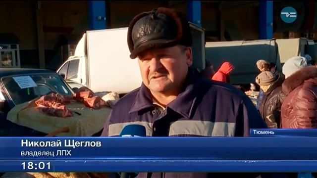 Продовольственные ярмарки в Тюмени смотреть онлайн