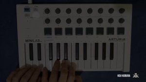 TheFatRat - Unity (Cover)