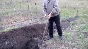 Живая грядка и работа с лопатой