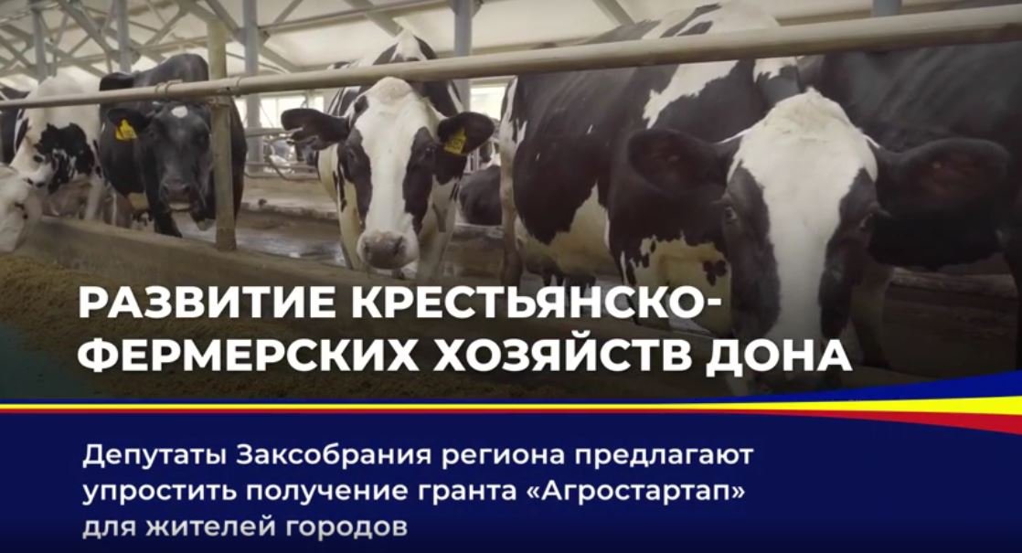 Развитие крестьянско-фермерских хозяйств на Дону