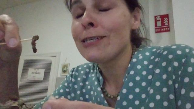 ВЛОГ: КАК ИСПАНЦЫ ЭТО ЕДЯТ? | ТАРАКАНЫ АТАКУЮТ! | СБЕЖАЛА ОТ МУЖА смотреть онлайн