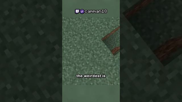 the weirdest minecraft mod