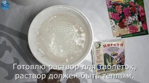 Сажаю семена герани с помощью водки