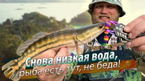 ОНИ ХВАТАЮТ МАНДУЛУ! Рыбалка на микроджиг. Спиннинг по низкой воде.