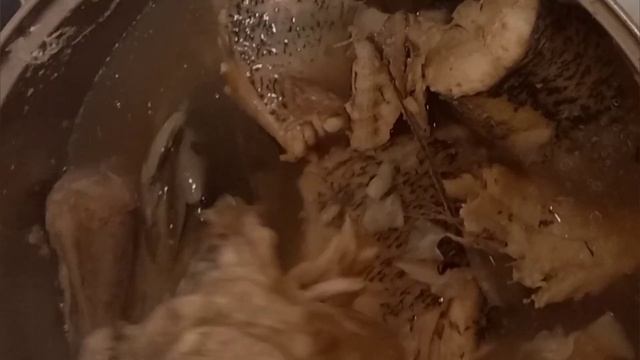 Кудинарное шоу - Холодец из Щуки. смотреть онлайн