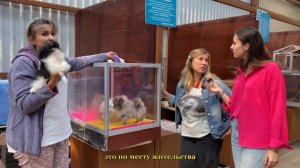 Птичий рынок, павильон с собаками ?