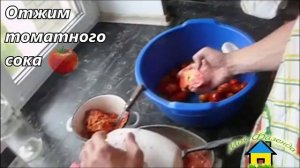 Соковыжималка Садовая 302 отжим яблочного и томатного сока