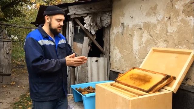 Самый верный способ сохранить сушь зимой от моли и мышей. Где хранить сушь? Защита сотохранилища смотреть онлайн