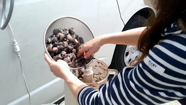 爆釣メバル53匹！車中泊ハイエースで釣った魚で柴犬似の(わん子)の餌作り,アムウェイ フードプロセッサーは,M31MFサブバッテリーで中国製の疑似正弦波(矩形波)インバーターで作動,パスタの料理も! смотреть онлайн