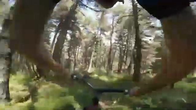 Карата лес смотреть онлайн