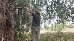 Foraging Florida, Great Edible Mushroom Find