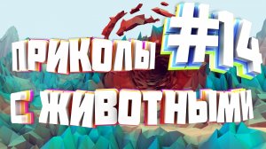 Приколы с животными | Приколы угары | Засмеялся подписался #14