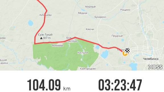 почти групповая тренировка 10.08.2024 (1)