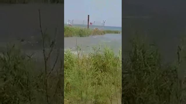 Галилейское море. Крещение Господне. Ликование рыб