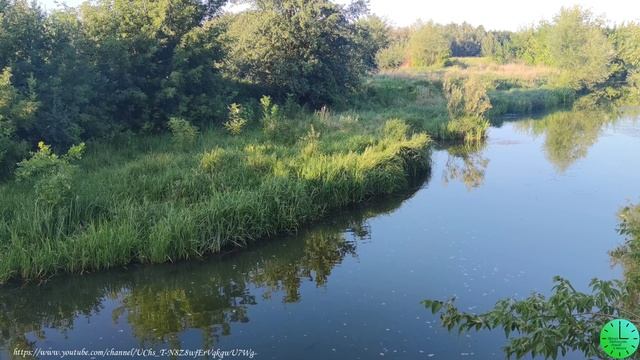 Пение птиц и плеск воды  лекарство для души и тела/Звуки природы/Sounds of nature