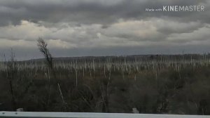 Дорога домой😀Алтайский край-Залесовский район