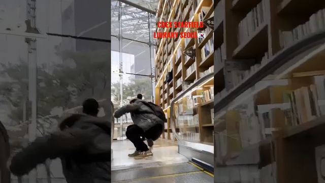 Famous Library in South Korea 🇰🇷 @STARFIELD LIBRARY COEX SEOUL смотреть онлайн