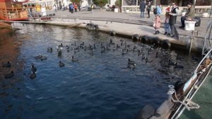 Бухта Балаклава Крым | История | Цена экскурсии | Севастополь |Погода и море в Крыму зимой