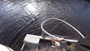 Крупный судак ранней весной! Джиг на реке!