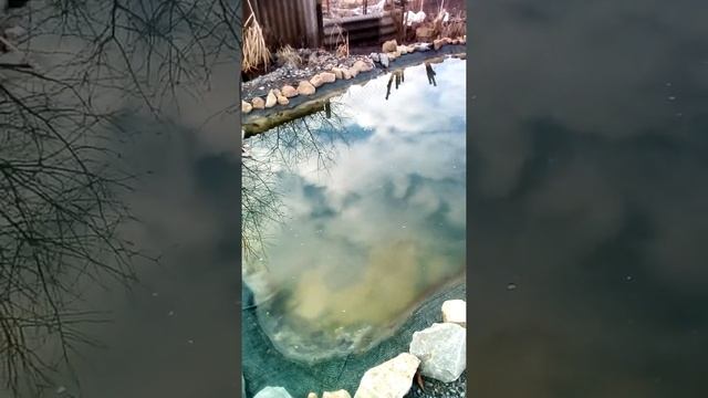 Искусственный Пруд после зимовки,рыба погибла,но пруд уцелел, советую это посмотреть. смотреть онлайн