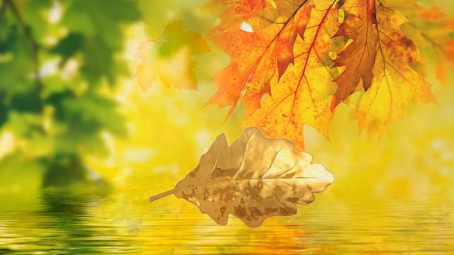 Осенний вальс. Исп. Марина Мельник смотреть онлайн