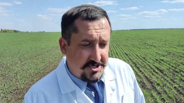 Регион Защиты Растений. Контроль всходов озимой пшеницы смотреть онлайн