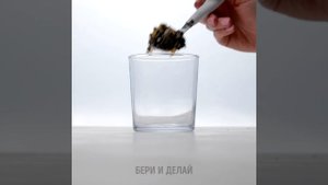 ПРОСТЫЕ ЛАЙФХАКИ ДЛЯ ВЫРАЩИВАНИЯ РАСТЕНИЙ В СВОЕМ ДОМАШНЕМ САДУ