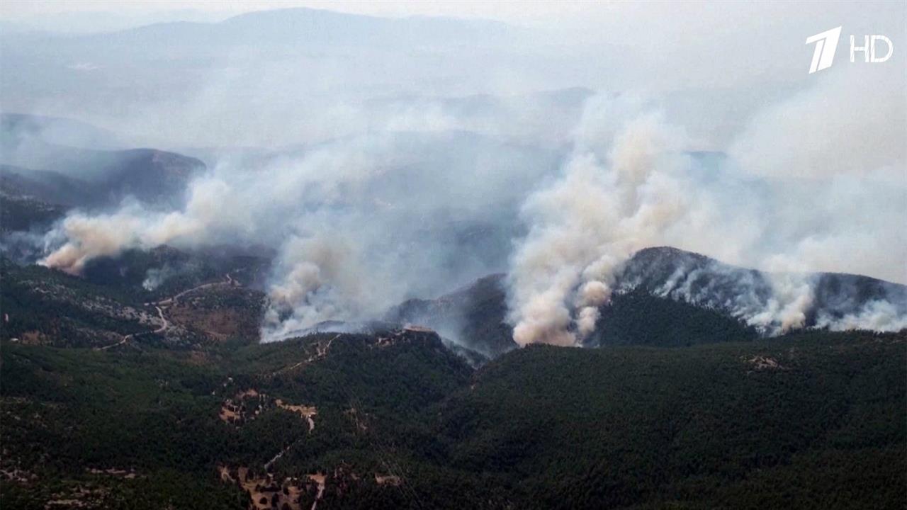 Из-за поджигателей ситуацию с лесными пожарами в Греции не удается взять под контроль