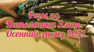 Приехали розы из Питомника Элит! Осенний заказ 2021! Подарок-роза Белль де Кале!