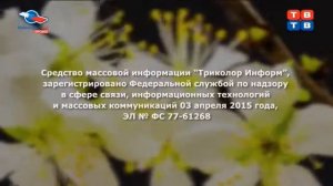 Свидетельство о регистрации (ТВ-ТВ, 23.04.2015 - 21.05.2018) Заставка