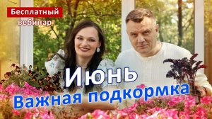 Подкормки в июне ГЛАВНАЯ ОШИБКА