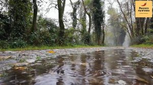 Рассказ мужчины | Измена жены. Казусная месть мужа. Реальная история