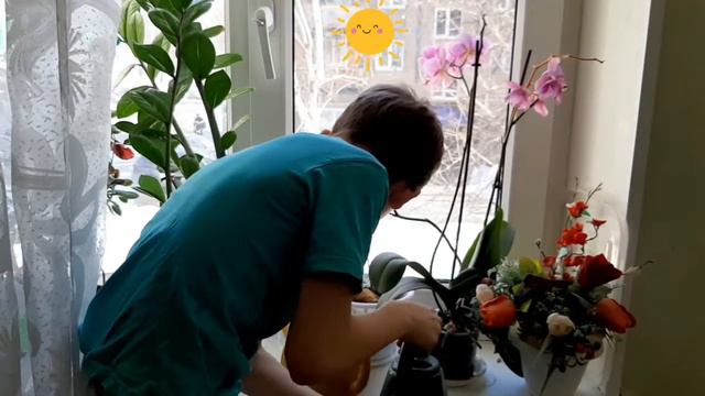 ПОЛИВАЕМ И РАСТИМ ЦВЕТЫ НА ПОДОКОННИКЕ. ДОМАШНИЕ ЦВЕТЫ. УХОД ЗА ЦВЕТАМИ.🌹🌹🌹
