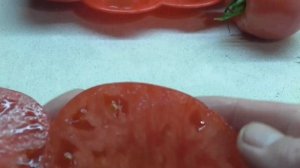 ТОМАТ ПУДОВИК. ДЕГУСТАЦИЯ. Ольга Чернова.