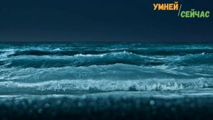 Вот почему в Египте Нельзя плавать Ночью.