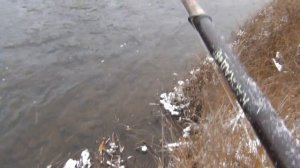 Рыбалка на крупного хариуса / Таежная Рыбалка на поплавок / Ловля хариуса  Живописная тайга