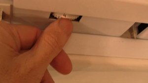 Как весной разбудить, прорастить семена в холодильнике.