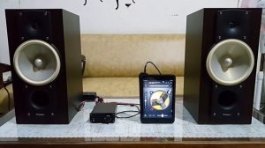 TPA3255 315-W Stereo Amplifier w/ Paradigm Titan Monitor V6 (P1)