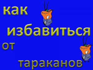 Как избавиться от тараканов навсегда.