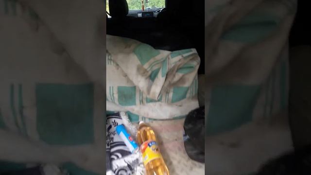 на прайде solo evo m6.5 hp 12 уселители прйд меззо 4.175 кватро xl смотреть онлайн