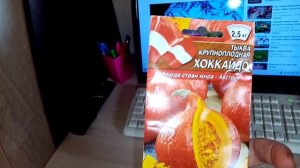 Купила Тыкву на Посадку сорта "ХОККАЙДО" и докупила Дыню для Теплицы сорта "АПЕЛЬСИНКА"??? 24.03.23
