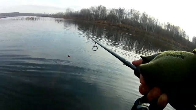Рыбалка на щуку.Хищник гоняет малька и игнорирует приманку НО.... смотреть онлайн